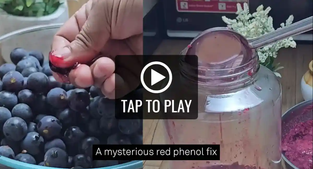 Red Phenol Fix
